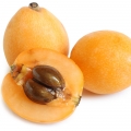 لوکوات ژاپنی Japanese Loquat